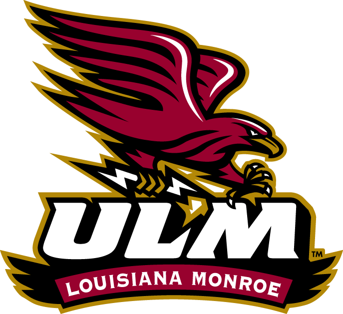 Louisiana-Monroe Warhawks 2006-Pres Alternate Logo v2 diy DTF decal sticker